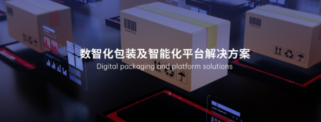 包裝行業(yè)網(wǎng)站建設案例解析：如何把專(zhuān)業(yè)感、品牌力拉滿(mǎn)
